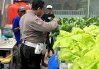 Polisi-Apresiasi-Warga-Kembangkan-Hortikultura-di-Green-House-Ketahanan-Pangan-Desa-Kletek-Sidoarjo