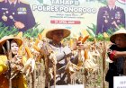 Polisi-dan-Warga-Tani-Panen-Raya-Jagung-Hibrida-Bhayangkara-Tahap-II-di-Ponorogo