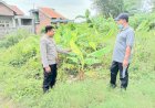 Bhabinkamtibmas-Wonokasian-Dorong-Ketahanan-Pangan-Lewat-Budidaya-Pisang-di-Lahan-Kosong