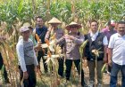 Polisi,-Perangkat-Desa-dan-Petani-Kompak-Sukseskan-Ketahanan-Pangan-di-Balongbendo
