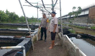 Kapolsek-Wonoayu-Cek-Peternakan-Ikan-di-Desa-Popoh