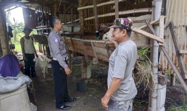 Polsek-Buduran-Tinjau-Perkembangan-Peternakan-Kambing-Desa-Sidokerto
