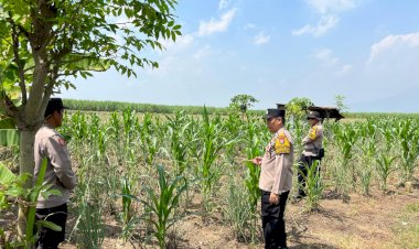 Polisi-Cinta-Petani,-Gencarkan-Pendampingan-Program-Ketahanan-Pangan-di-Kecamatan-Krembung