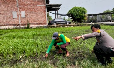 Kanit-Binmas-Polsek-Prambon-Tinjau-Lahan-Pekarangan-Bergizi-di-Desa-Pejangkungan