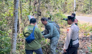 Polres-Malang-Gencarkan-Deteksi-Dini-Karhutla,-Sisir-Area-BKPH-Sengguruh-di-Bantur