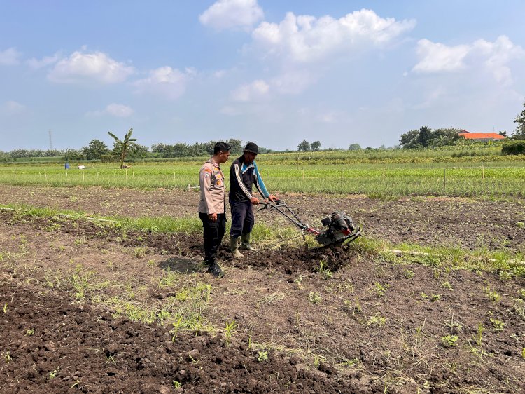 Kanit Binmas Polsek Krembung Dampingi Petani Garap Lahan Ketahanan Pangan