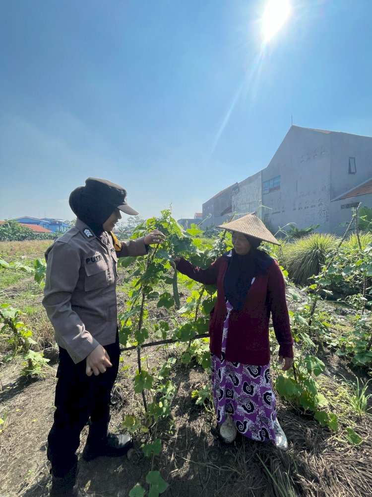 Polwan Sedati Dampingi Petani Ubi Tingkatkan Ketahanan Pangan