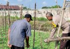 Polisi-Bersama-Petani-Desa-Jiken-Tulangan,-Kelola-Lahan-Sayur-untuk-Dukung-Ketahanan-Pangan