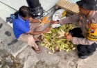 Polsek-Krembung-Dukung-Swasembada-Pangan-Nasional